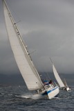 malibu 2462c lrw11 9656